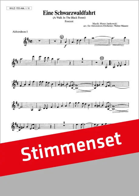 Eine Schwarzwaldfahrt